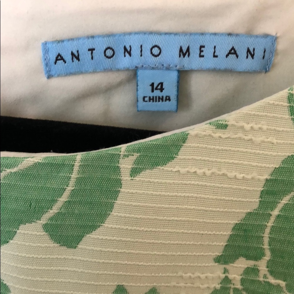 Antonio Melani Green Rose Floral Dress - Picture 8 of 9